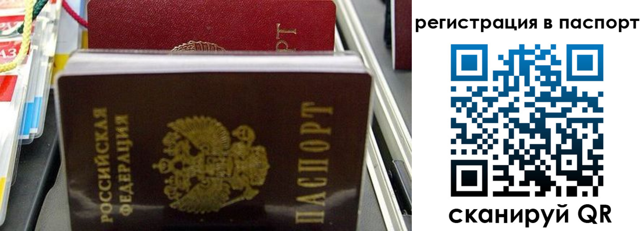 прописка для школы в Снежинске